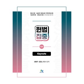 헌법집중 제2판 Keynote, 윌비스