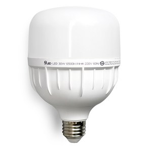 건식 LED 전구 30W E26 고와트 원통 T램프 보안등