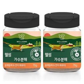 웰썸 동애등에 연어 파우더, 70g, 2개