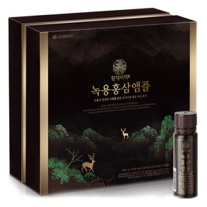 리튠 황제비책 녹용홍삼 앰플 28p, 560ml, 1개