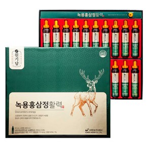 원기담 녹용홍삼정 활력, 400ml, 1박스