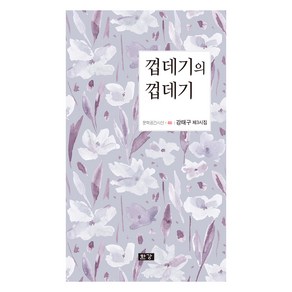 껍데기의 껍데기, 한강, 강태구