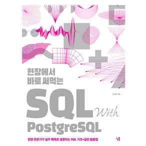 현장에서 바로 써먹는 SQL with PostgeSQL, 상품명, 심통, 김임용