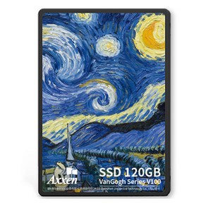 액센 V100 SSD Van Gogh Seies SATA3.2, 120GB