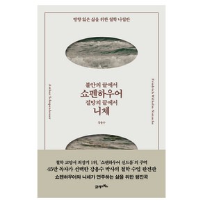 불안의 끝에서 쇼펜하우어 절망의 끝에서 니체:방향 잃은 삶을 위한 철학 나침반