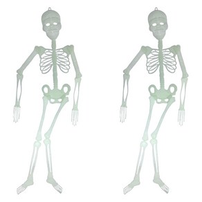스투피드 야광 해골 장식, 2개