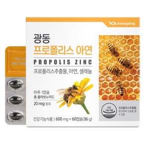 광동제약 프로폴리스 아연 36g, 60정, 1개