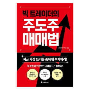 빅 트레이더의 주도주 매매법:지금 가장 뜨거운 종목에 투자하라!