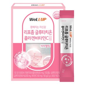 웰업 리포좀 글루타치온 콜라겐비타민C, 30회분, 60g, 1개