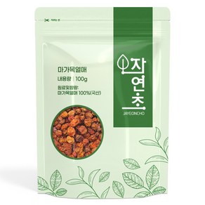 건조 마가목열매, 100g, 1개