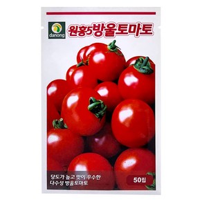 다농 원홍5호방울토마토 씨앗 50p, 1개