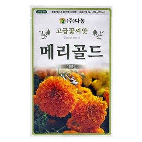 다농 메리골드 씨앗 100p, 1개