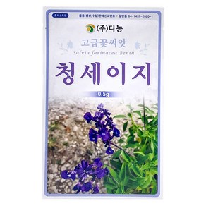 다농 청세이지 씨앗 0.5g, 1개