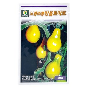 다농 노랑조롱 방울토마토 씨앗 50립, 1개