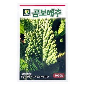 다농 곰보배추 씨앗 1000p, 1개