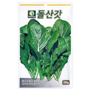 다농 돌산갓 씨앗 30g, 1개