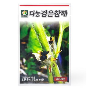 다농 검은참깨 씨앗 3000p, 1개