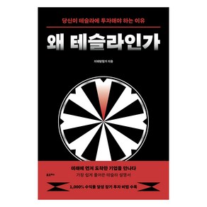 왜 테슬라인가:당신이 테슬라에 투자해야 하는 이유, 포르체, 지혜탐험가