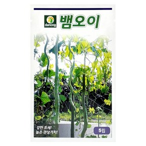 다농 뱀오이 씨앗 5p, 1개