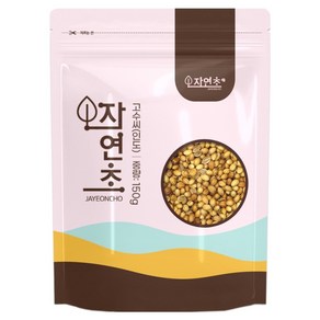 코리앤더 씨드 고수씨, 150g, 1개