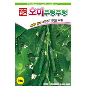 아시아종묘 씨앗 오이 주렁주렁 씨앗 10립, 1개