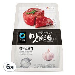 맛선생 청정 소고기, 120g, 6개