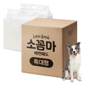소꼼마 강아지 소변아 꼼짝마 1초흡수 배변패드 두툼형 무향, 60개입, 1개