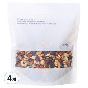 솔닙 베리베리 듬뿍 믹스너트, 450g, 4개