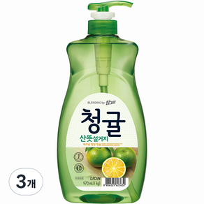 참그린 청귤 산뜻 설거지 주방세제, 970ml, 3개