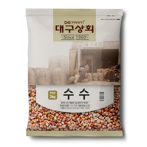 대구상회 수수, 2kg, 1개