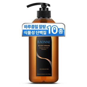 라온느 블랙 아르간 고영양 약산성 단백질 샴푸 미용실 극손상 모발용, 500ml, 1개