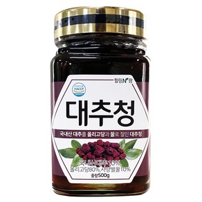 힐링앤팜 대추청, 500g, 1개입, 1개