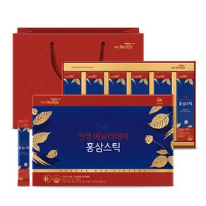 대상웰라이프 진생에브리데이 홍삼스틱 + 쇼핑백, 300ml, 1개