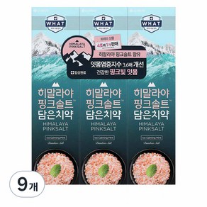 히말라야핑크솔트 담은 치약 튜브형 아이스, 100g, 9개