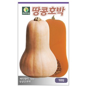 다농 땅콩호박씨앗 호박씨앗 10p, 1개