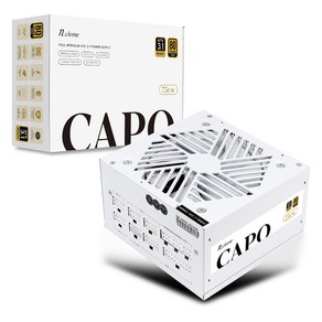 엔클롬 CAPO 750W 80PLUS골드 풀모듈러 파워서플라이 ATX3.1 화이트