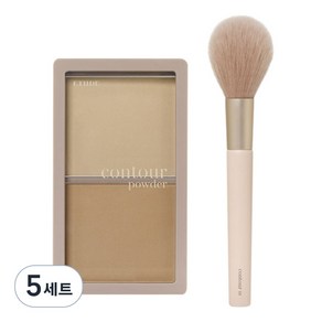 에뛰드 그림자 쉐딩 10g + 01 턱브러쉬 기획 세트, 1호 재창조(쉐딩), 5개