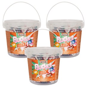 투시 버킷 믹스 투시팝 미니어쳐 투시롤 초코카라멜 랜덤발송, 3개, 255g