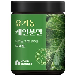 푸드버킷 유기농 케일분말, 100g, 1개