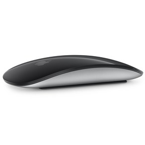 Apple 2021년 Magic Mouse, 블랙