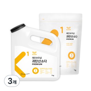 레인보우샵 왕톡톡이 과탄산소다 산소계표백제 리필세트, 1kg, 3개