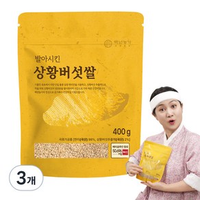 백년농가 상황버섯쌀, 3개, 400g