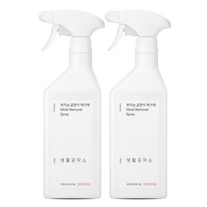 생활공작소 뿌리는 곰팡이 제거제, 750ml, 2개