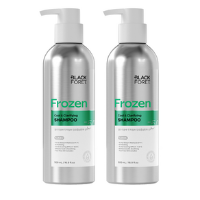 블랙포레 정수리냄새 두피정화 탈모증상완화 샴푸, 500ml, 2개