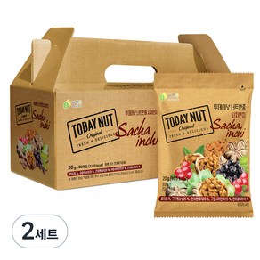 투데이넛 너트한줌 사차인치 견과 선물세트 30개입 600g, 2세트