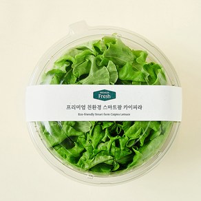 프리미엄 친환경 스마트팜 카이피라, 100g, 1개