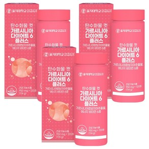 을지대학교 탄수화물 컷 가르시니아 다이어트6 플러스 114g, 120정, 3개