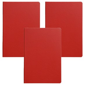 어프로치 프로 스탠다드 페이퍼 노트, 레드 무지, 3개