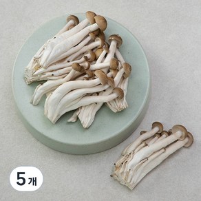 국내산 무농약 손질된 갈색 만가닥버섯, 300g, 5개