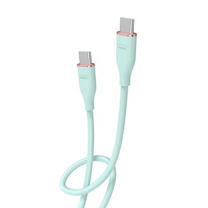 모락 츄잉 60W USB C to C 타입 초고속 충전 케이블